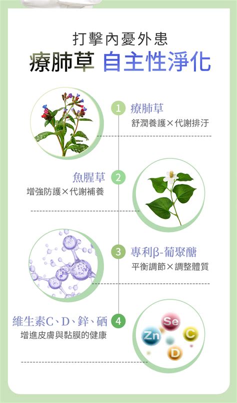 療肺草禁忌|療肺草：功效、營養價值、禁忌、正確食用方式